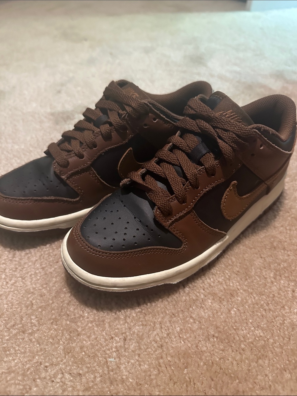 Kids Brown and Black Dunk Low Sneakers